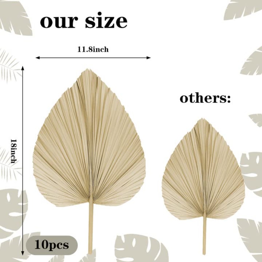 10 Large Bulk Boho Dried Palm  - đánh giá và giá Palm Leaf Dried