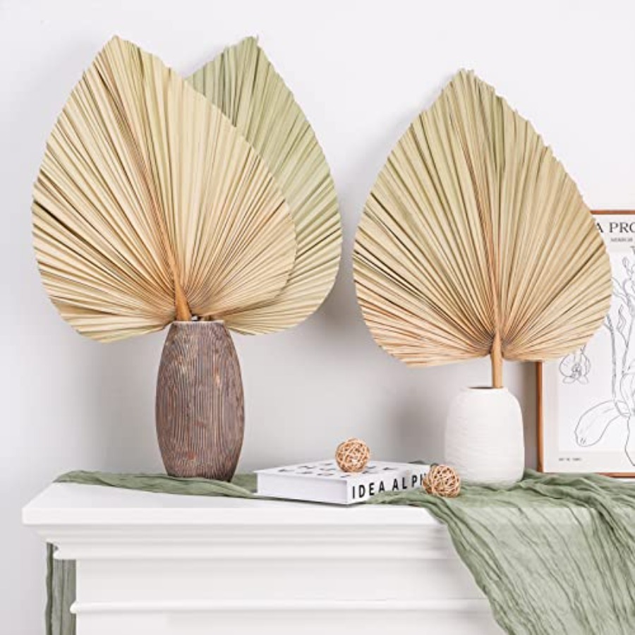 10 Large Bulk Boho Dried Palm  - đánh giá và giá Palm Leaf Dried