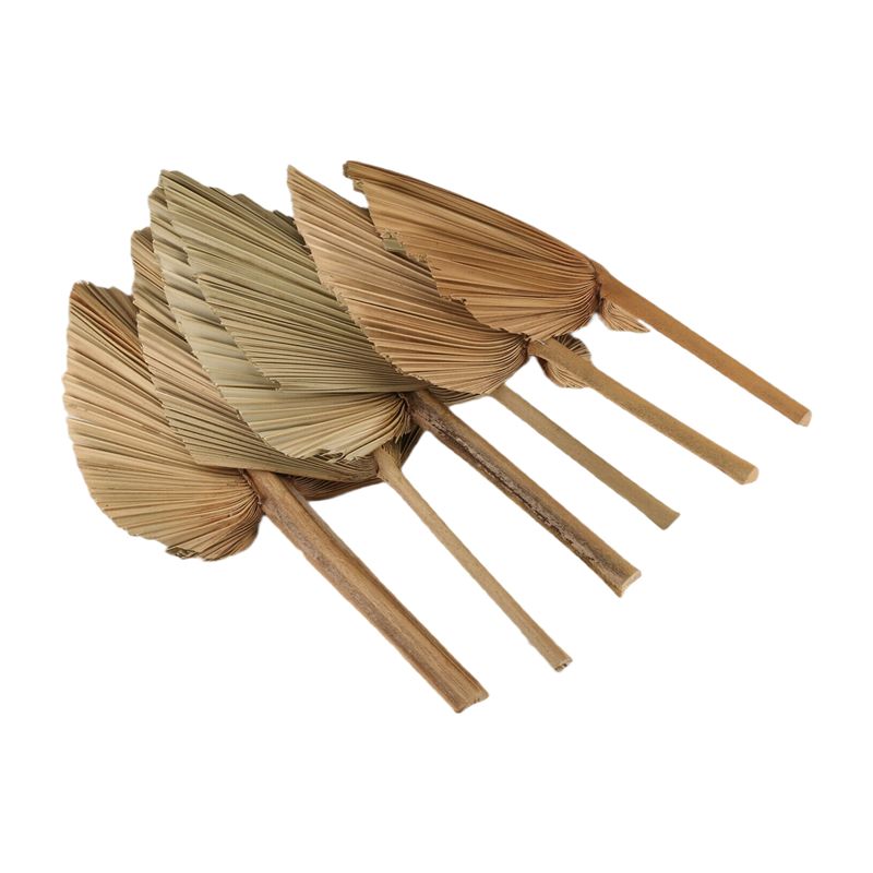 AT84-6PCS Dried Palm Leaves Na - đánh giá và giá Palm Leaf Dried