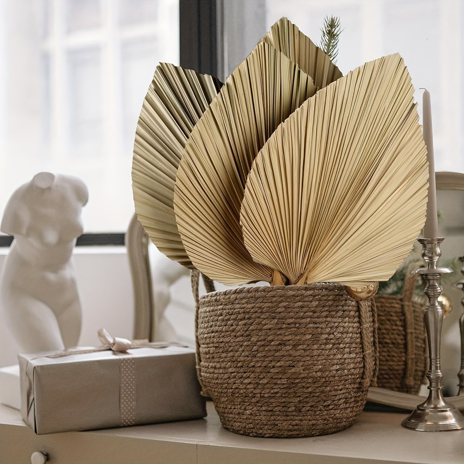 3 PCS Natural Dried Palm Leave - đánh giá và giá Palm Leaf Dried