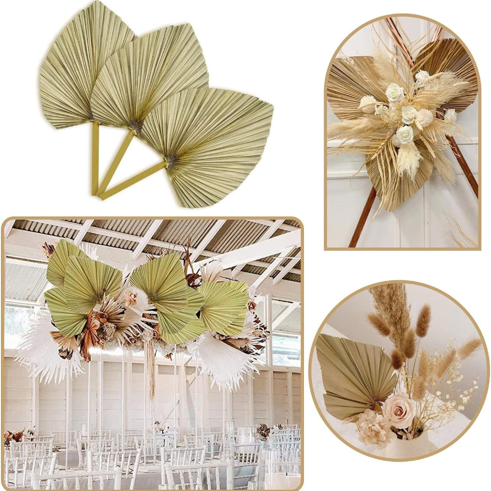 3 PCS Natural Dried Palm Leave - đánh giá và giá Palm Leaf Dried