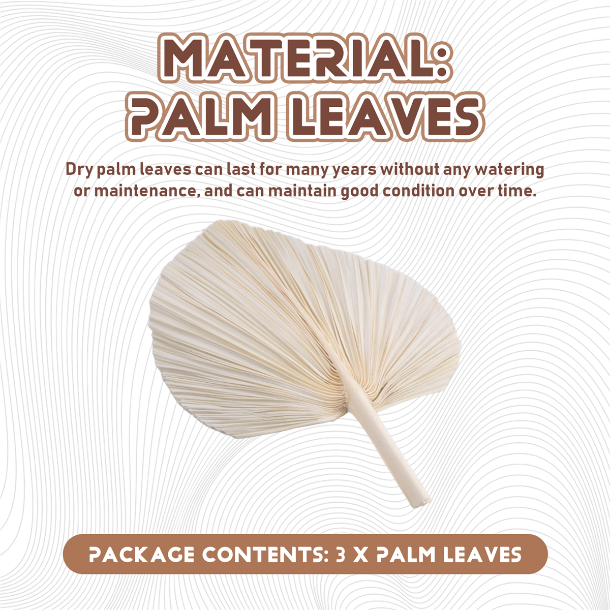 Qualitative Large White Dried  - đánh giá và giá Palm Leaf Dried