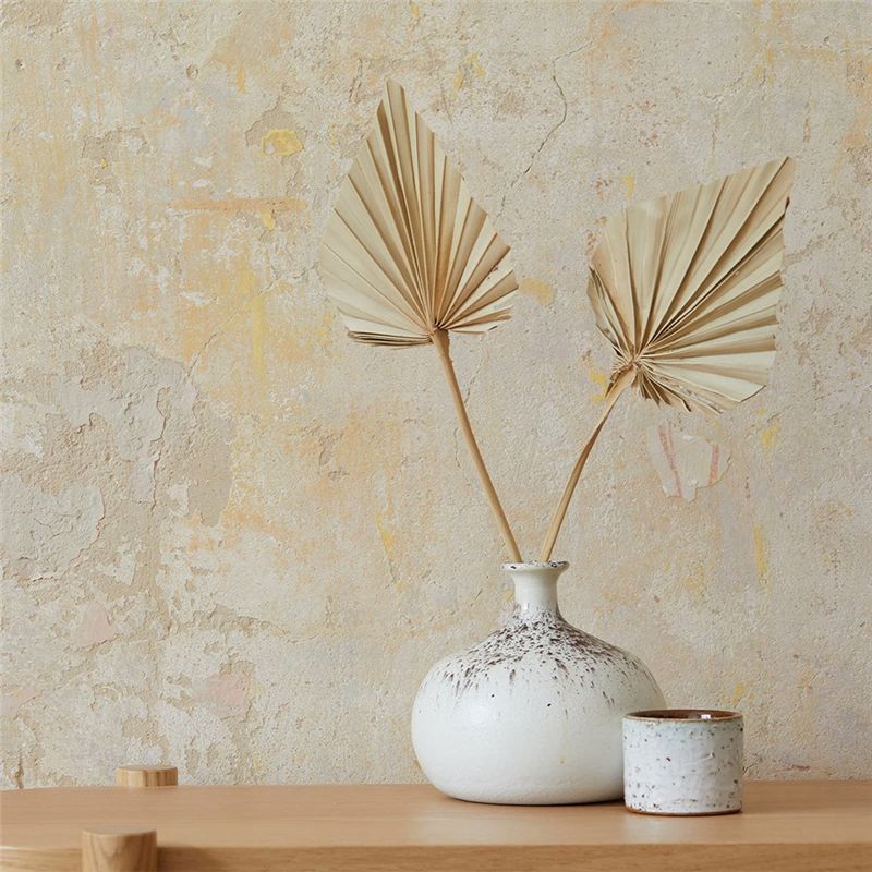 TFORU-Boho Dried Palm Spears S - đánh giá và giá Palm Leaf Dried