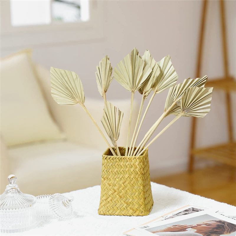 TFORU-Boho Dried Palm Spears S - đánh giá và giá Palm Leaf Dried