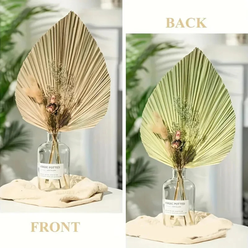 Mini Dried Palm Leaves – Tropi - đánh giá và giá Palm Leaf Dried