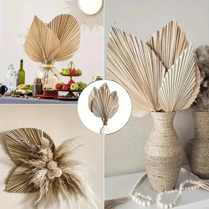 Mini Dried Palm Leaves – Tropi - đánh giá và giá Palm Leaf Dried