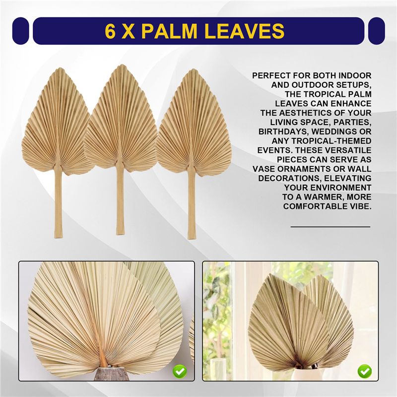 ABKO-6PCS Dried Palm Leaves Na - đánh giá và giá Palm Leaf Dried