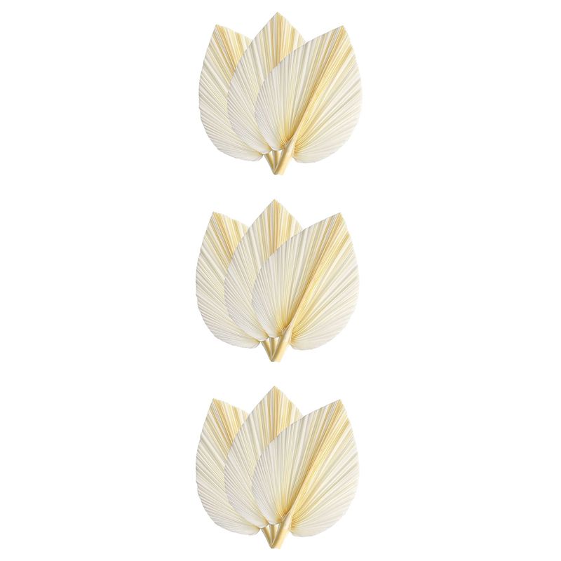 Large White Dried Palm Leaves  - đánh giá và giá Palm Leaf Dried