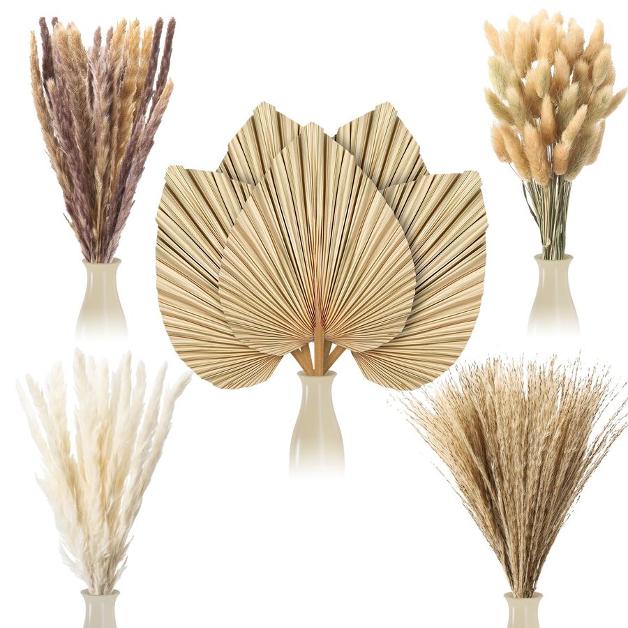 Pcs Boho Dried Pampas Grass De - đánh giá và giá Palm Leaf Dried