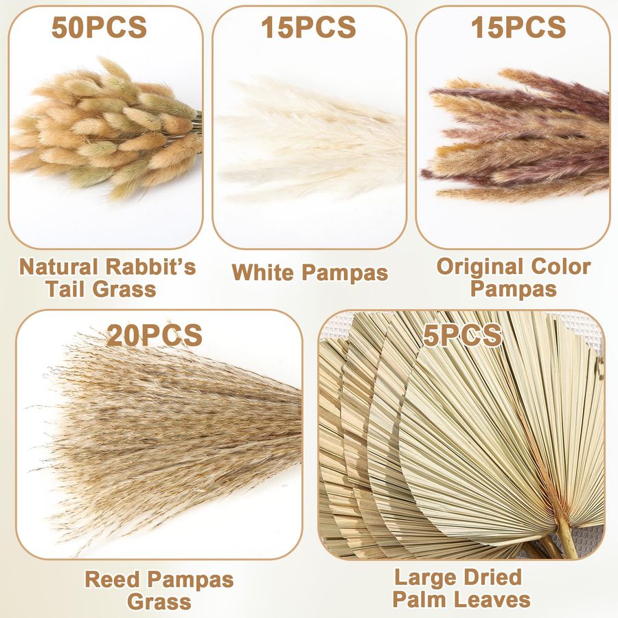 Pcs Boho Dried Pampas Grass De - đánh giá và giá Palm Leaf Dried