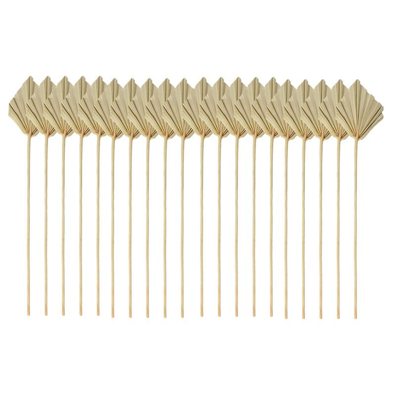 HLZS-Boho Dried Palm Spears Sm - đánh giá và giá Palm Leaf Dried